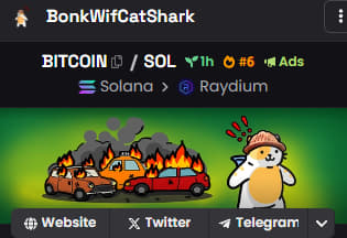 $BITCOIN Top 6 on Dexscreener