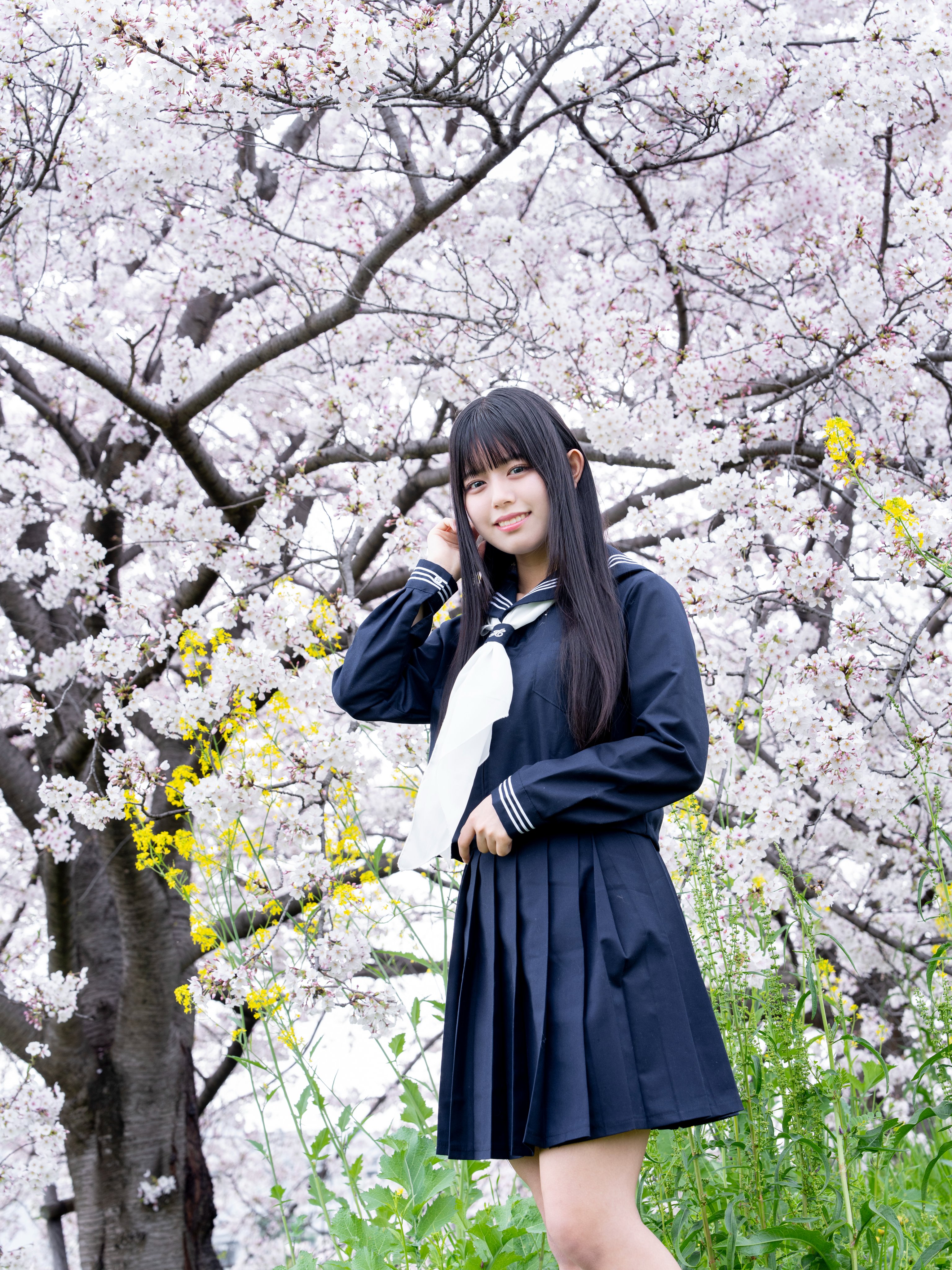 りぼん★おまとめ27点 りぼん 11月号 (発売日2012年10月03日) | 雑誌/定期購読の予約は