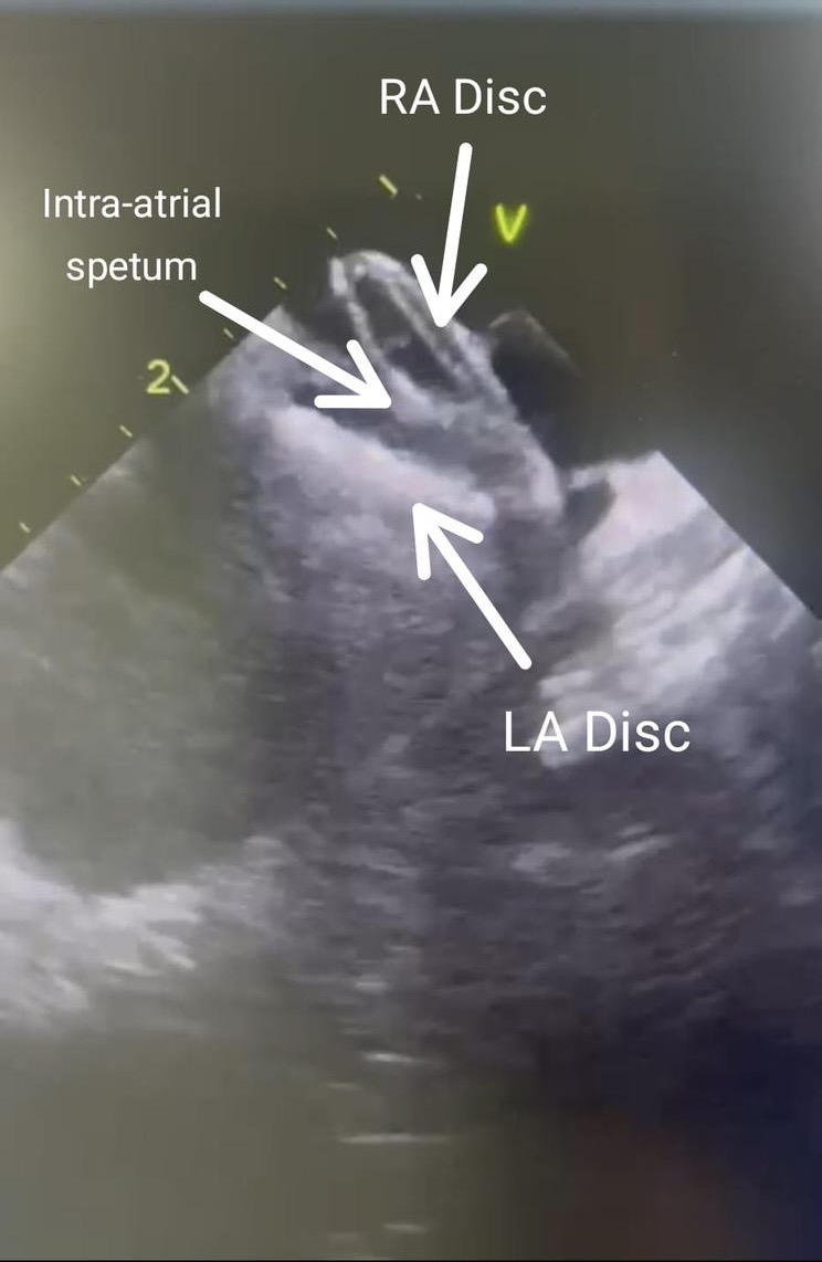 المدينة الطبية الجامعية tweet media