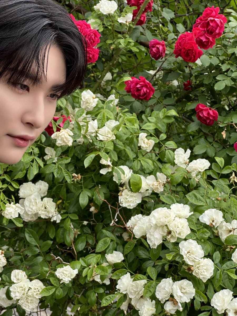 성균관대 꽃이랑 🌿🌿
#우빈