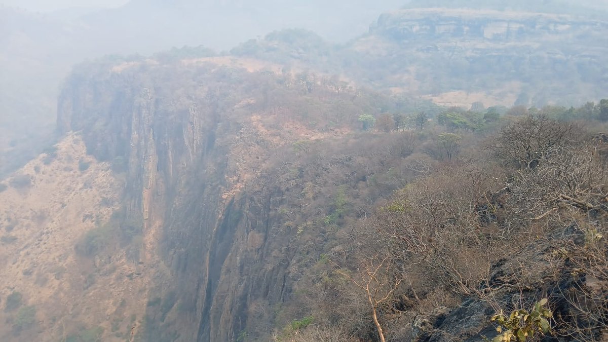 #AlMomento:
🟡Más de 100 elementos de #Probosque, @CONAFOR, @CEPANAF, @SEDENAmx y brigadas rurales se han movilizado al #IncendioForestal registrado en Nanchititla, del municipio de #Luvianos para realizar labores de liquidación con el objetivo de sofocar puntos de calor activos.