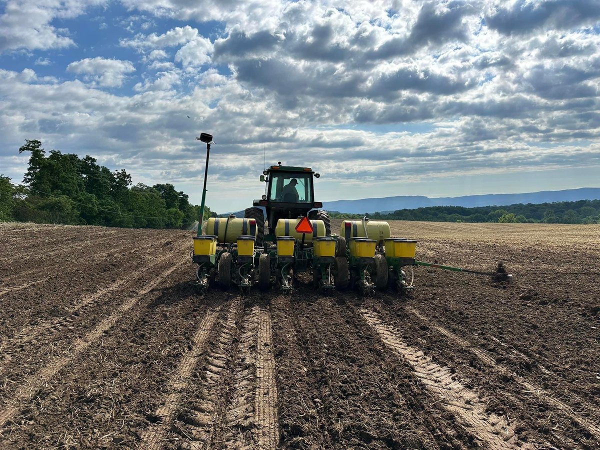 RevereSeed's tweet photo. #RevereCorn🌽 #plotcheck
📍Shenandoah County, VA https://t.co/dGbPQzmRvU