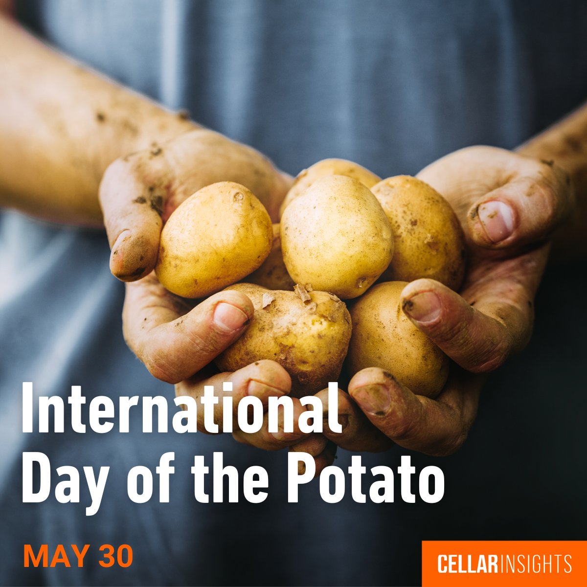Cellar Insights (@cellar_insights) on Twitter photo Today marks the first International Day of the Potato! 🥔Potatoes provide important nutritional and economic value globally. Enjoy a potato today and join us in thanking our dedicated potato growers. #InternationalDayofPotato #Potatoes <a href="/FAO/">Food and Agriculture Organization</a> Today marks the first International Day of the Potato! 🥔Potatoes provide important nutritional and economic value globally. Enjoy a potato today and join us in thanking our dedicated potato growers. #InternationalDayofPotato #Potatoes <a href="/FAO/">Food and Agriculture Organization</a>