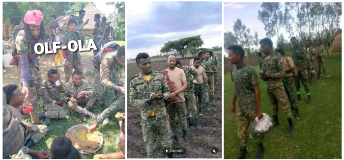 hawwiijatani's tweet photo. Sammenlign behandlingen av krigsfanger av Abiys militante Amhara Fano, som har halshugget oromoer, med OLF-OLA, som deler sin egen mat med fangene. Hvor lenge kan folkemordshandlingene begått av terroristorganisasjonen Fano tolereres? https://t.co/lLhmYBn3IC  #UN #OLAFightsForMe