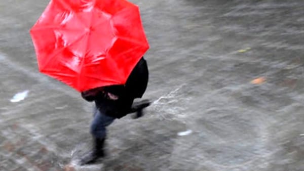 ☔️Quattro le allerte meteo: moderata (arancione) per temporali e ordinaria (gialla) per rischio idrogeologico, per rischio idraulico e, dalla mezzanotte, per vento forte. COC attivo per monitoraggio fiumi Seveso e Lambro e coordinare interventi. ⚠️tinyurl.com/4ysm7tz7