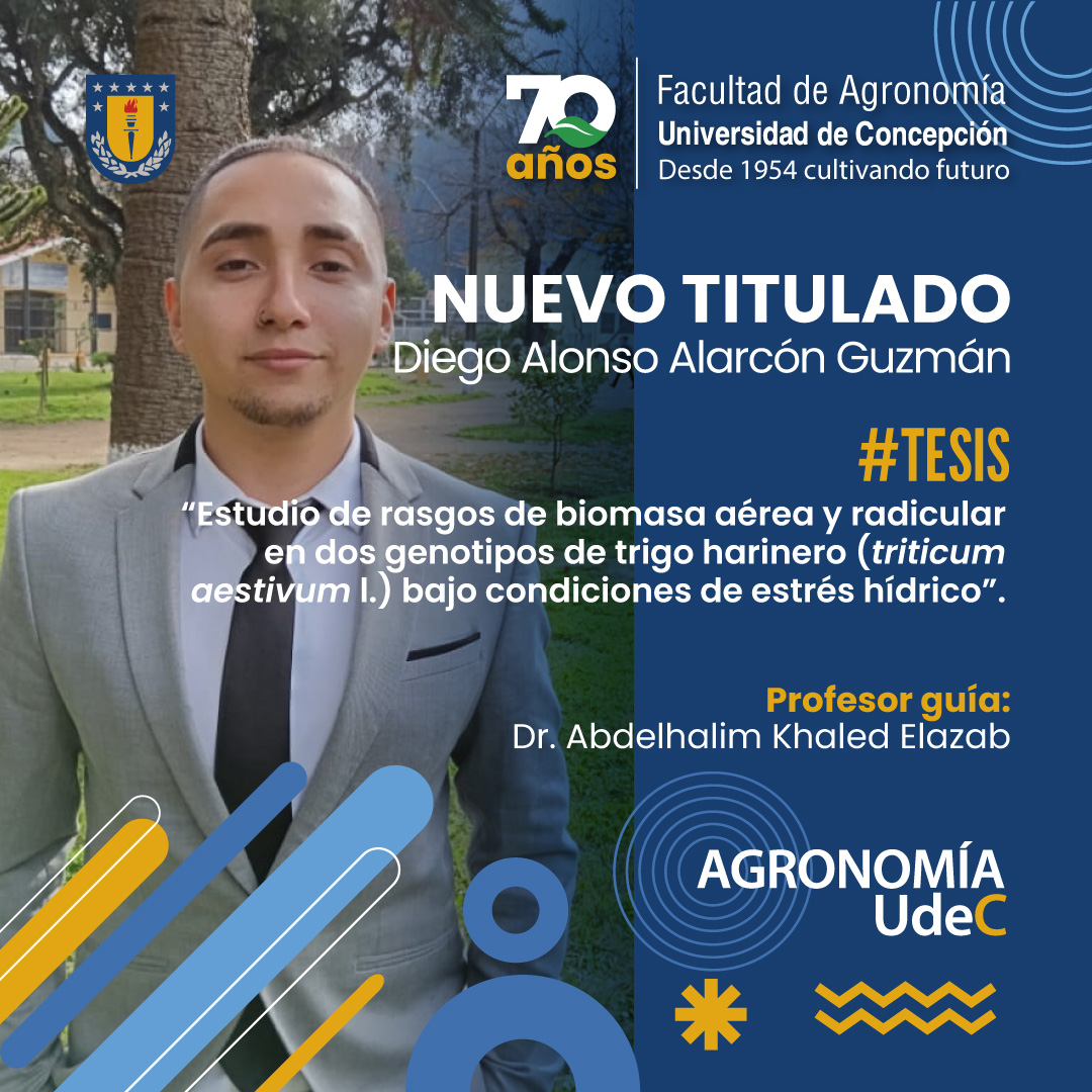 #AgronomíaUdeC #Tesis
🎓¡Felicidades a Diego Alarcón G. por titularse como Ingeniero Agrónomo con Distinción Máxima!
Su tesis logró identificar y cuantificar los rasgos radiculares que permiten una eficiente captura del agua y producción de biomasa.🌱
agronomiaudec.cl/nuevo-titulado…