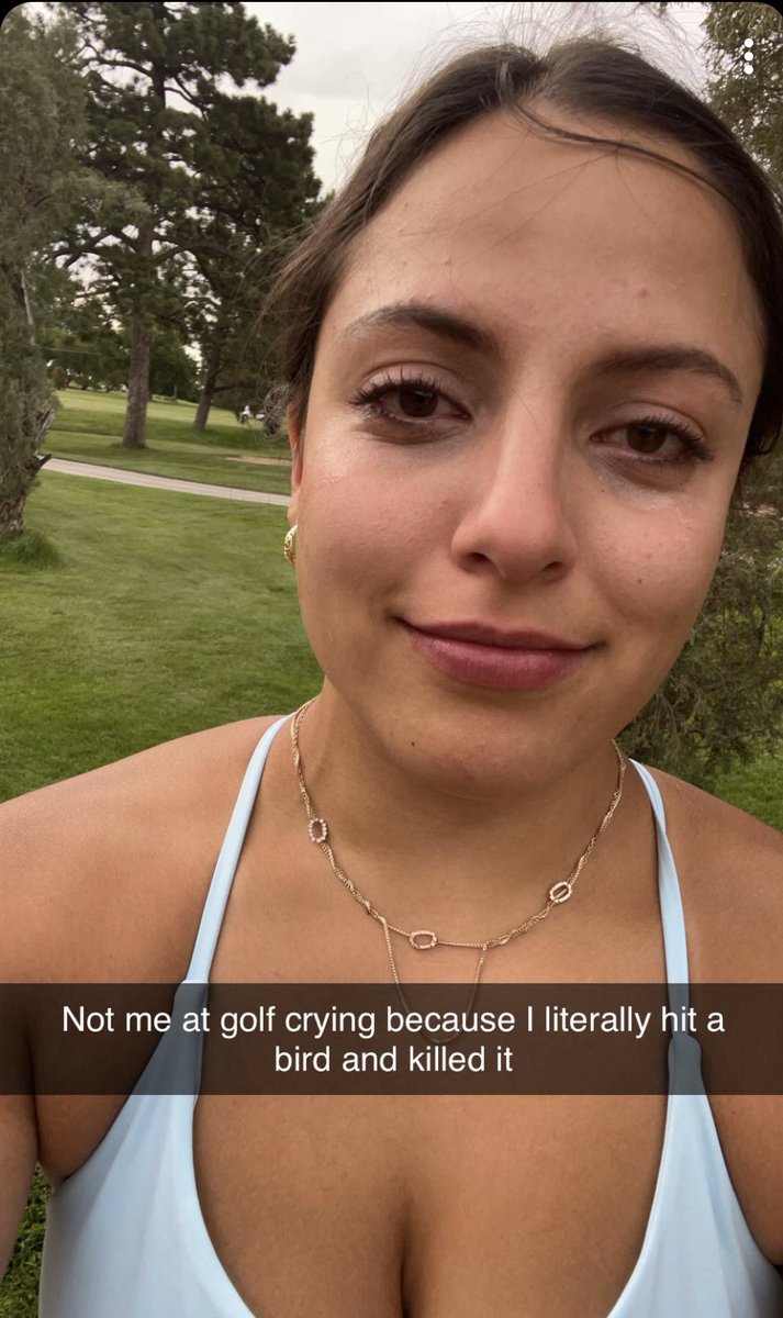 Davis Bitton tweet media