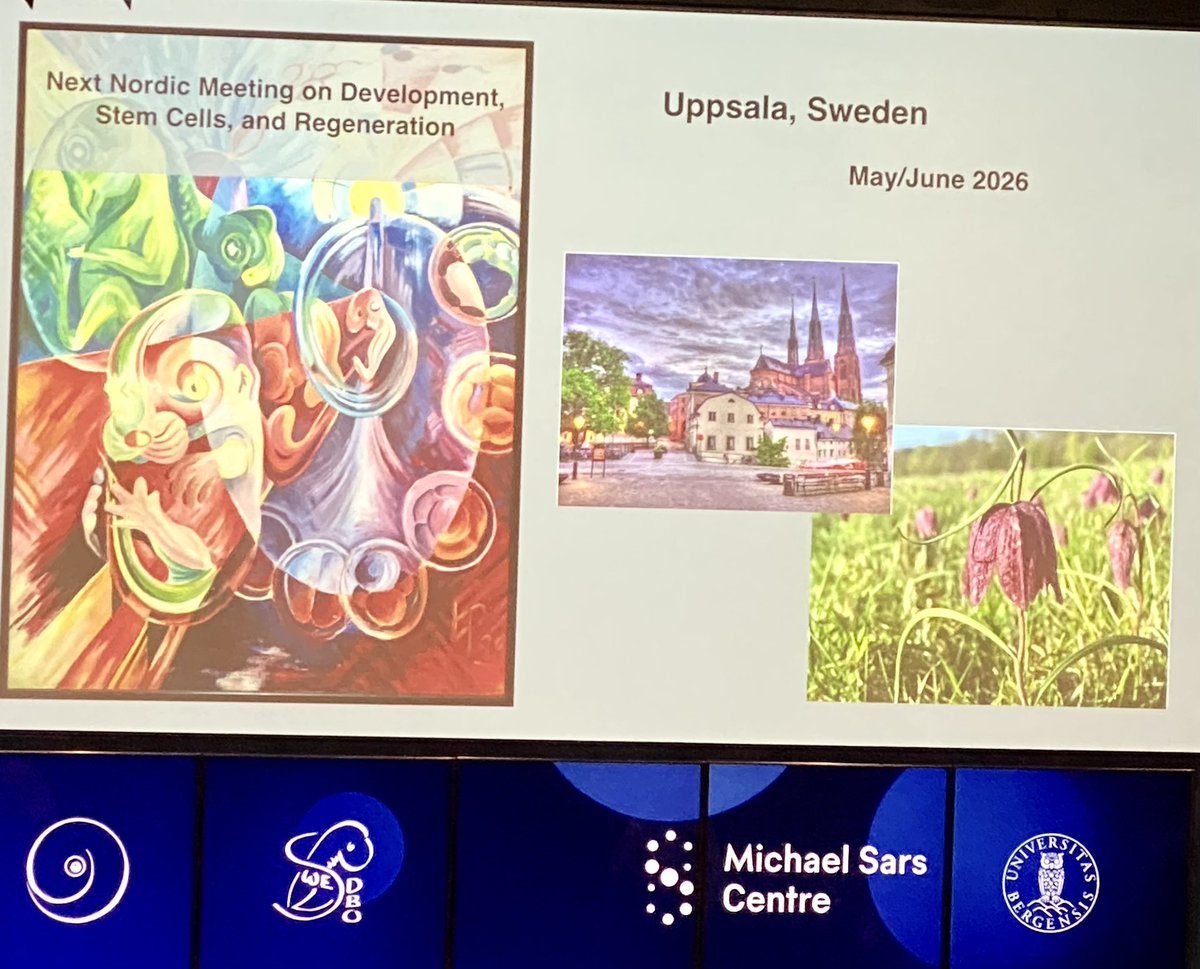 Luiza Ghila (@luizaghila) on Twitter photo Next Nordic Meeting on #development #stemcells and #regeneration will be organized in Uppsala May/June 2026 #NDEVMSS2024 <a href="/swedbo/">Swedish Developmental Biology Organization SWEDBO</a> Next Nordic Meeting on #development #stemcells and #regeneration will be organized in Uppsala May/June 2026 #NDEVMSS2024 <a href="/swedbo/">Swedish Developmental Biology Organization SWEDBO</a>
