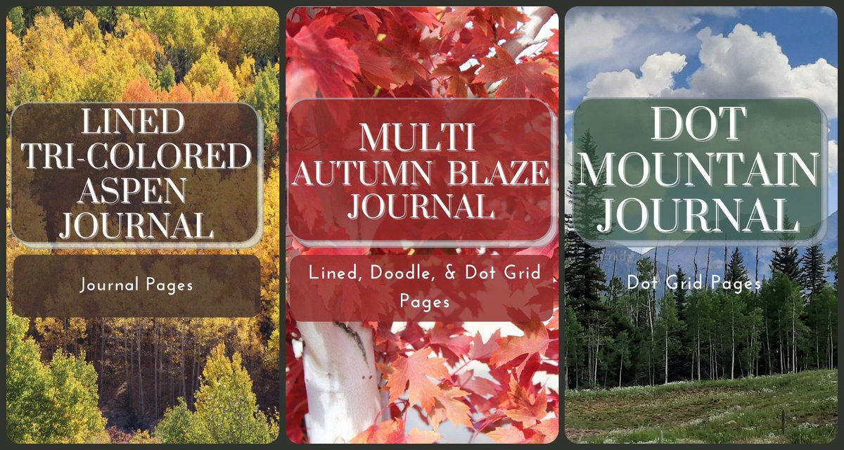 GParentObstacle's tweet image. Beautiful Lined #JournalNotebooks - filled with lined journal pages. #Diary. Preserve your thoughts. Create-your-own Table of Contents. More: buff.ly/3EhRuoY #Notebook #composition #IARTG