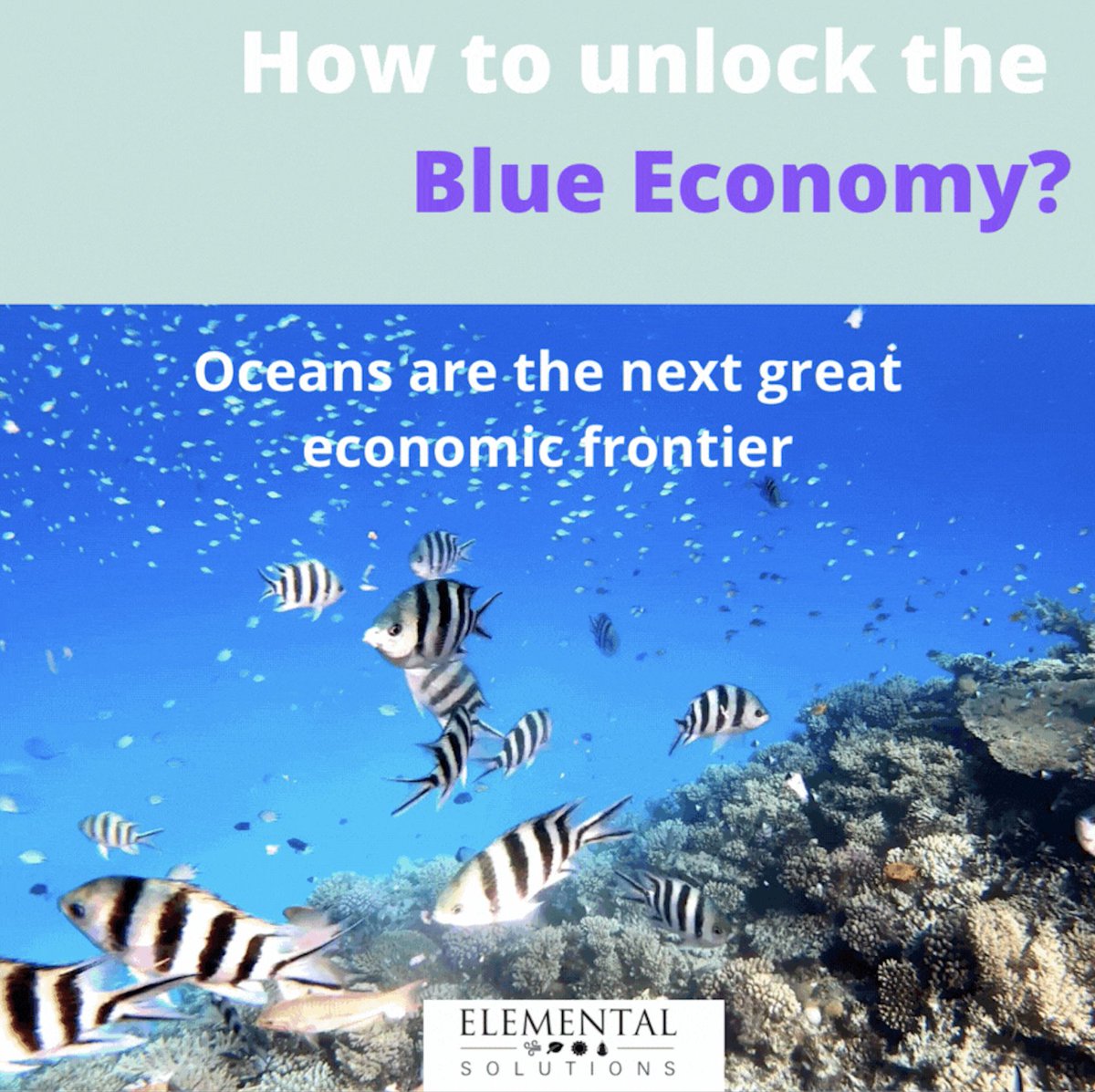Unlocking the #BlueEconomy with #BlueFinance! 🌊💰

Blue Bonds & Loans fund vital projects like water management, ocean cleanup, marine restoration, + renewable energy.

By 2030, the ocean economy could hit $3T and employ 40M people.

#SustainableFinance #ClimateSolutions