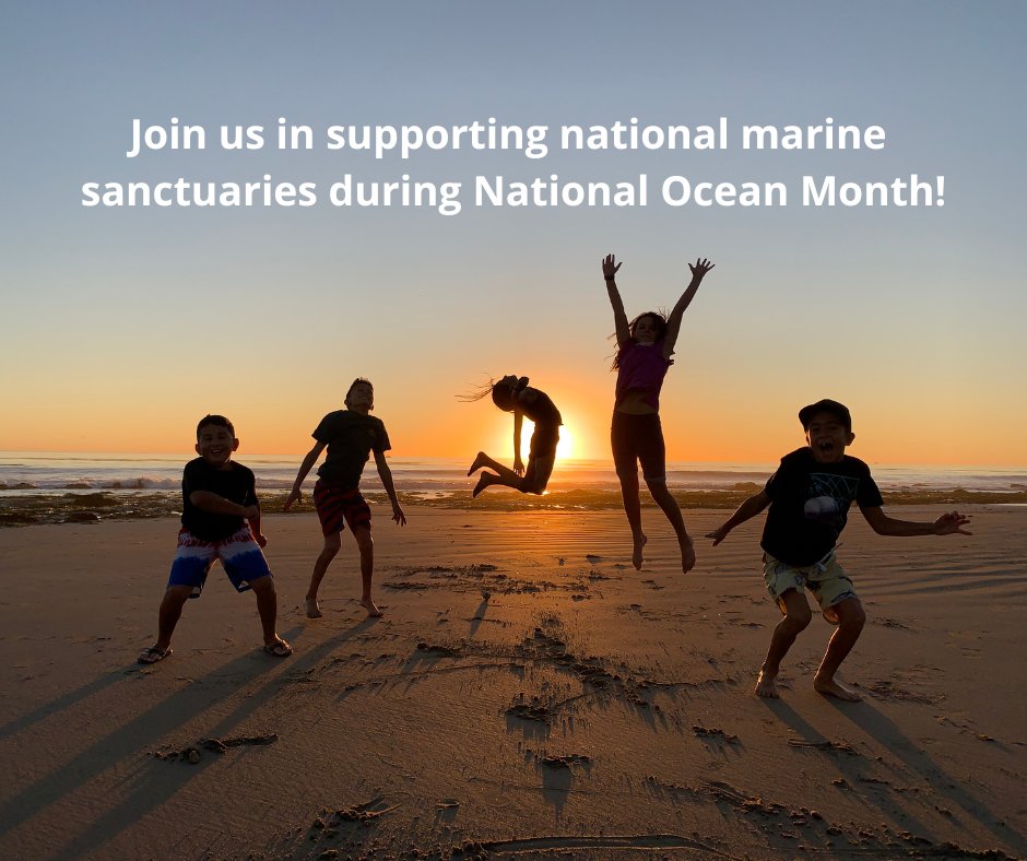 Are you looking for ways to celebrate #WorldOceanDay and #OceanMonthNOAA? Check out these eight ways you can support national marine sanctuaries and monuments. 🌊

sanctuaries.noaa.gov/news/may24/eig…