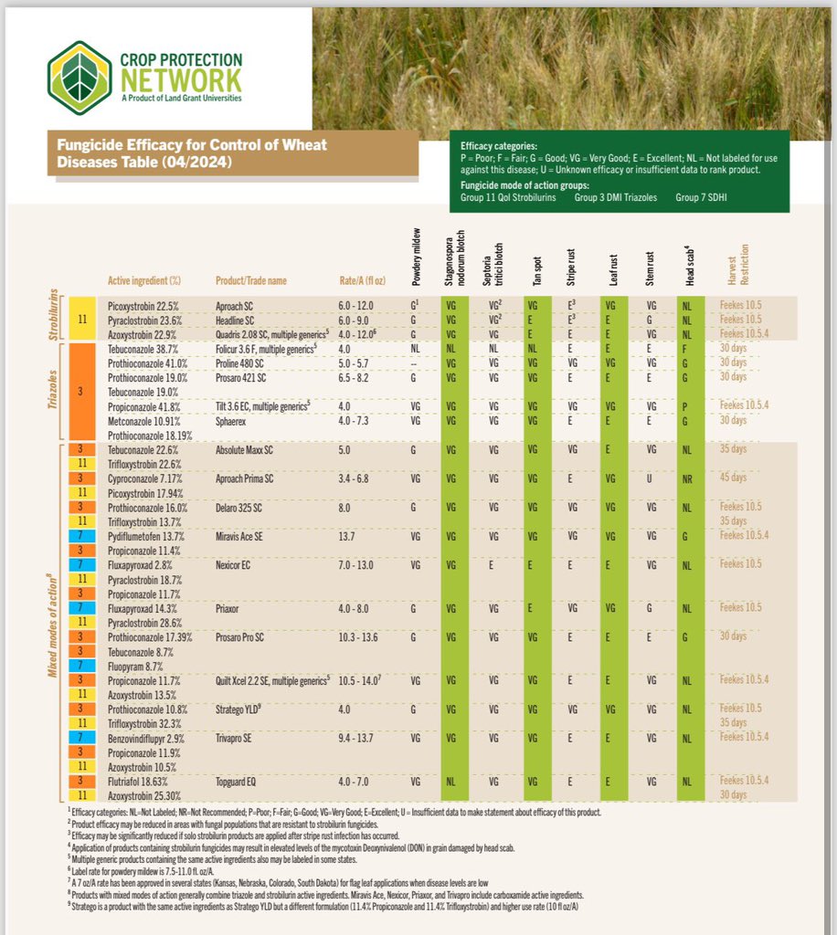 Stripe Rust found in the Port Hope area this morning.  Strongly encourage you to scout your wheat ahead of T3 fungicides and choose your products wisely to stay on top of this devastating disease.  Reconsider if you were thinking of skipping this pass. <a href="/PioneerSeedsCA/">Pioneer Seeds Canada</a>