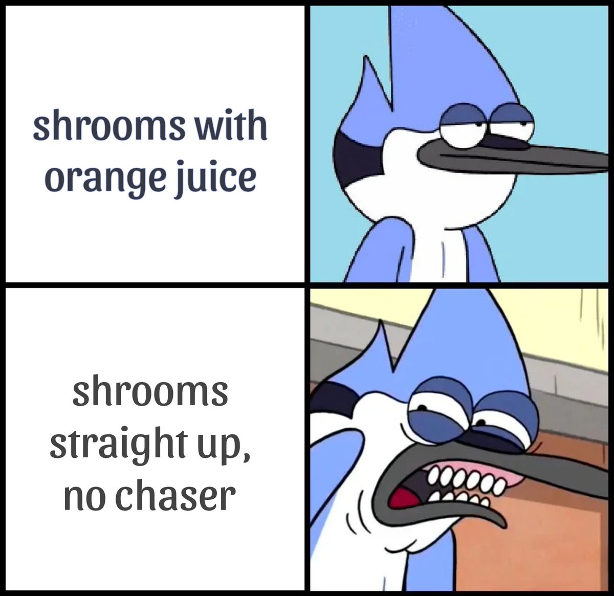 I always take my shrooms with orange juice 🍄🥤