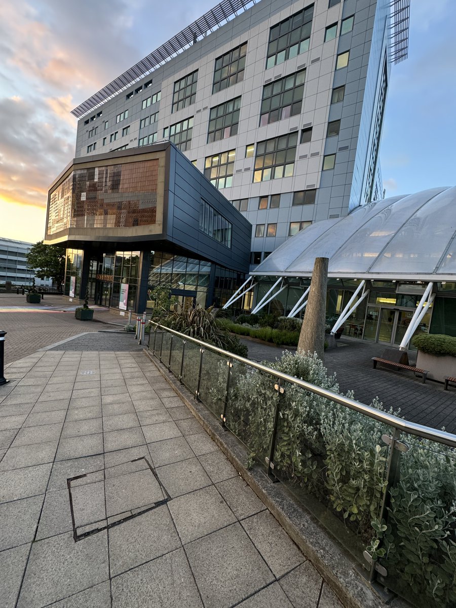 _mracheampong's tweet photo. Bradford, you have my heart
#IMSS24 https://t.co/eGvvDWJttv