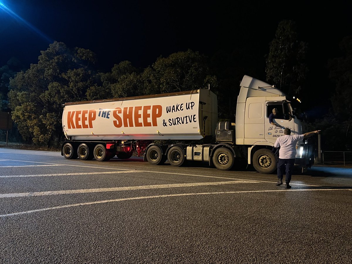 hasselljpb's tweet photo. How’s this? #keepthesheep https://t.co/hyqhFstwaM