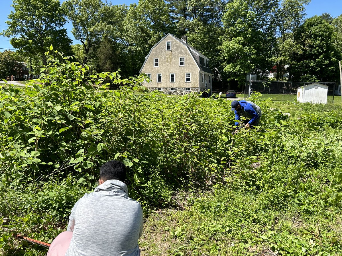 MKA_Boston's tweet image. Khuddam came together to do yard work! Afterwards, we watched Hazur’s address and enjoyed pizza. #MKA