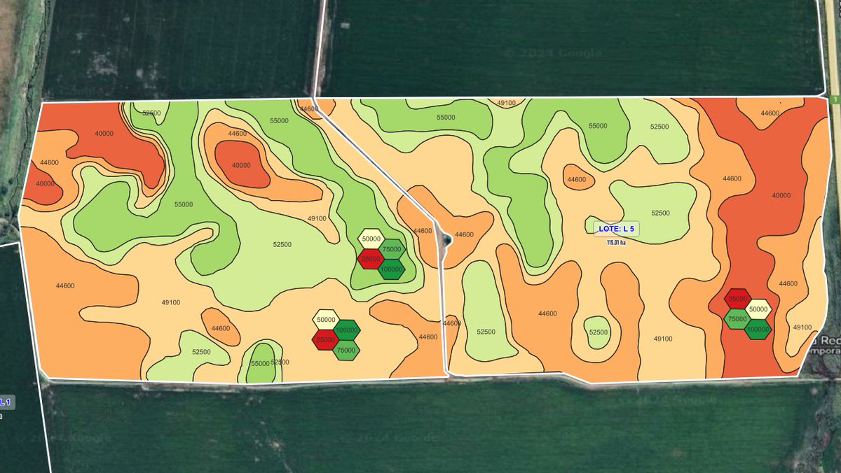 lopezmartin000's tweet photo. 1) Imagen RGB 10x10 m satelite SENTINEL 2;

2) Imagen RGB 1x1 m satelite SENTINEL 2 reprocesado con IA del modelo S2DR3T.

3) Mapa prescripción variable de semilla en Maíz con ensayos de densidades crecientes por ambiente.

@apfield_23 https://t.co/fx5FIQuf4a