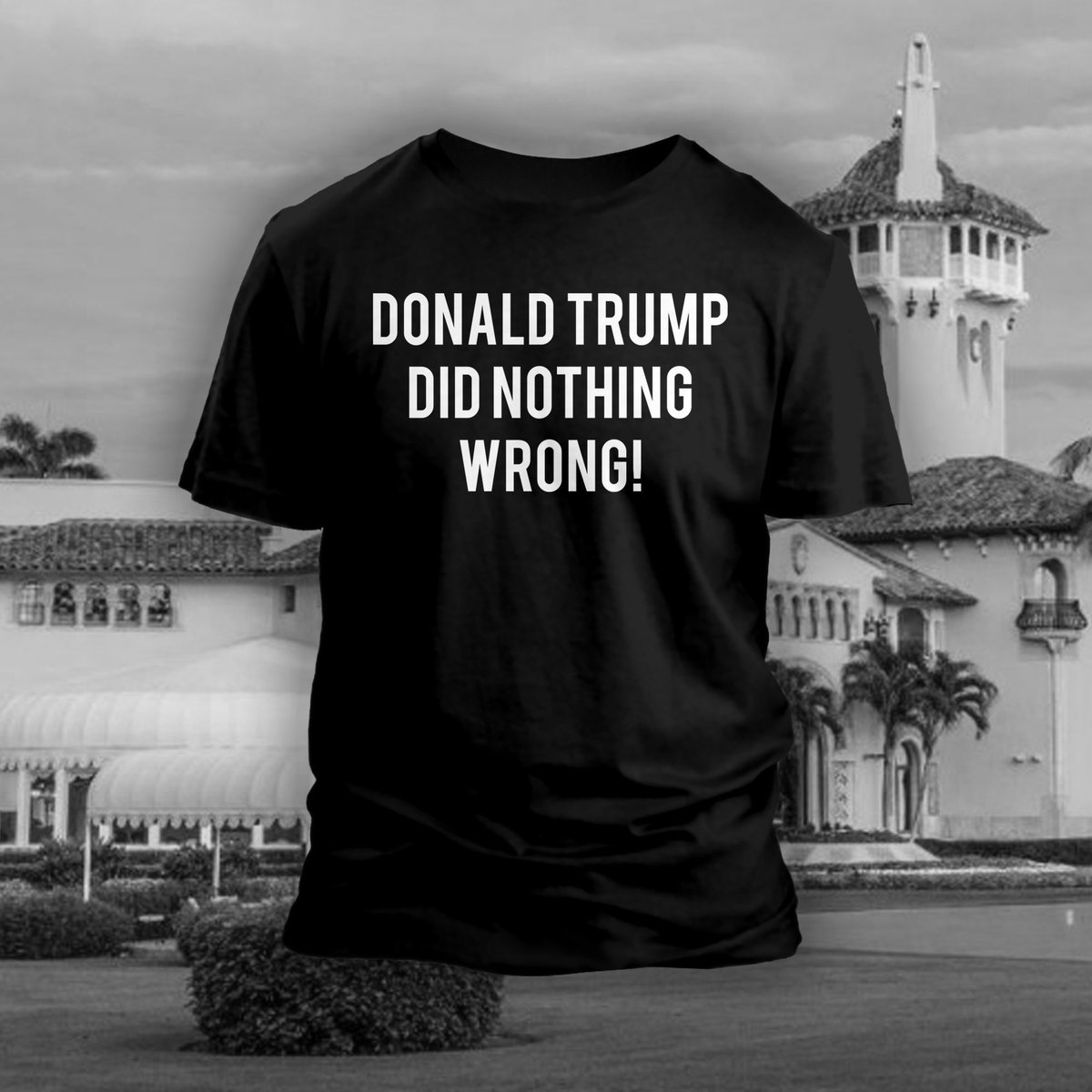 Donald Trump Did Nothing Wrong !