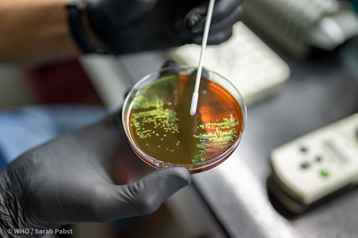 World Health Organization (WHO) (@who) on Twitter photo Today, #WHA77 delegates approved a resolution to accelerate national and global responses on #AntimicrobialResistance (AMR), ahead of the second <a href="/UN/">United Nations</a> General Assembly High-Level Meeting on AMR to take place in September 2024 bit.ly/4571wGY Today, #WHA77 delegates approved a resolution to accelerate national and global responses on #AntimicrobialResistance (AMR), ahead of the second <a href="/UN/">United Nations</a> General Assembly High-Level Meeting on AMR to take place in September 2024 bit.ly/4571wGY