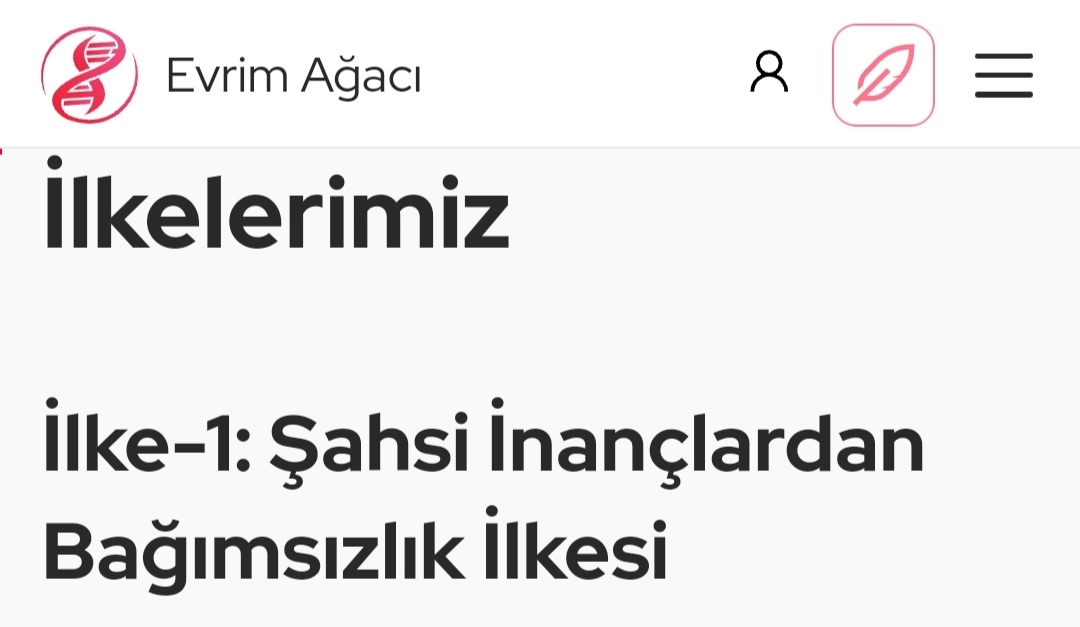 TiasoGraynt tweet media