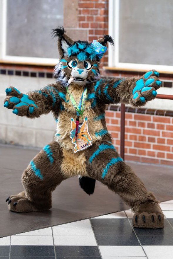 Laako 🇦🇹🔜 🇮🇹Furizon/🇦🇹AWO/🇫🇷FBL/🇩🇪EAST? tweet media