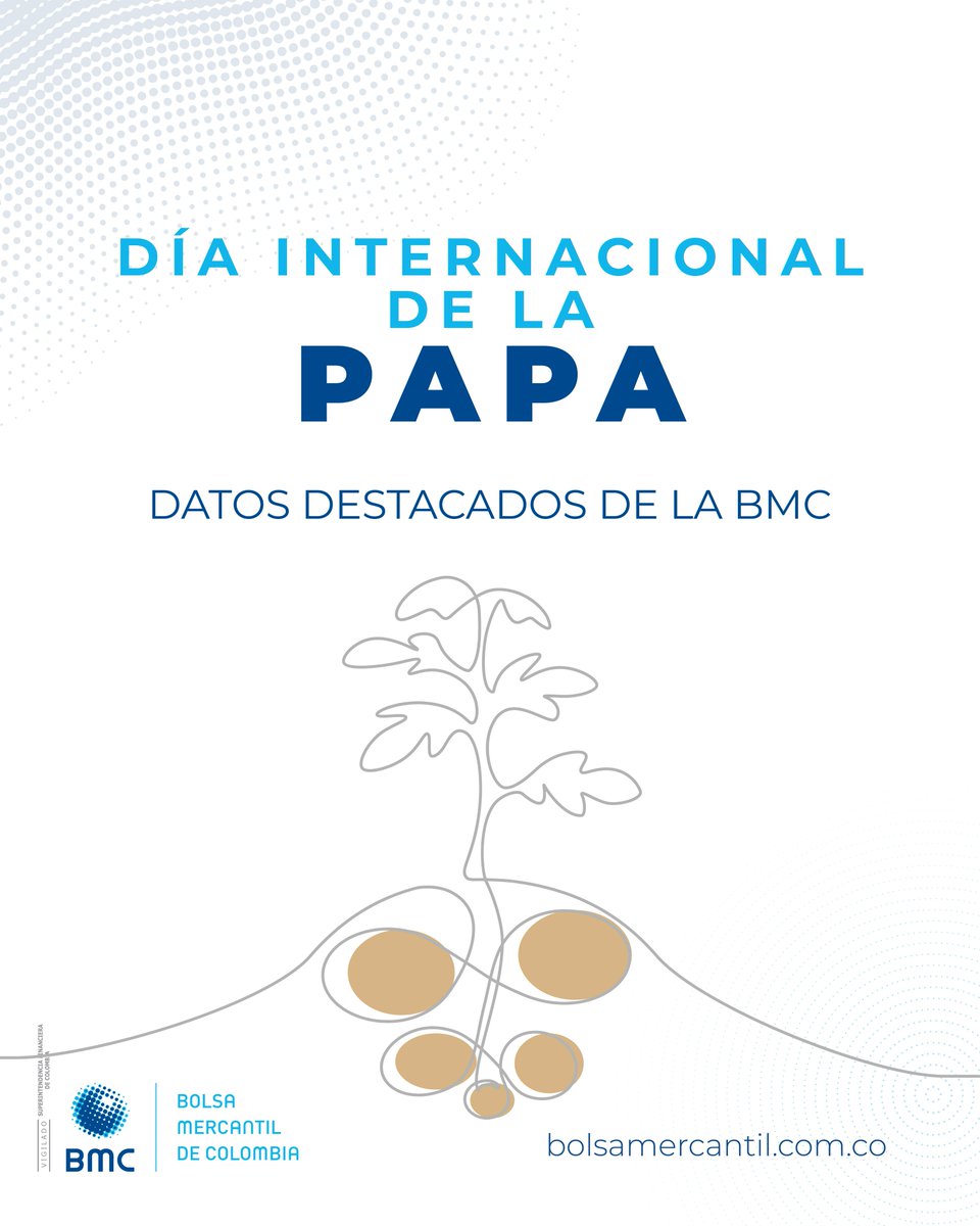BolsaMercantil's tweet photo. La #papa🥔en Colombia es un pilar de la agricultura nacional y sustento para miles de familias campesinas. 📷 Conoce información relevante sobre las condiciones de oferta y demanda del sector #papero en nuestro estudio sectorial: https://t.co/0gqoi8EkI8 #DíaInternacionalDeLaPapa https://t.co/eW4fmmreO5