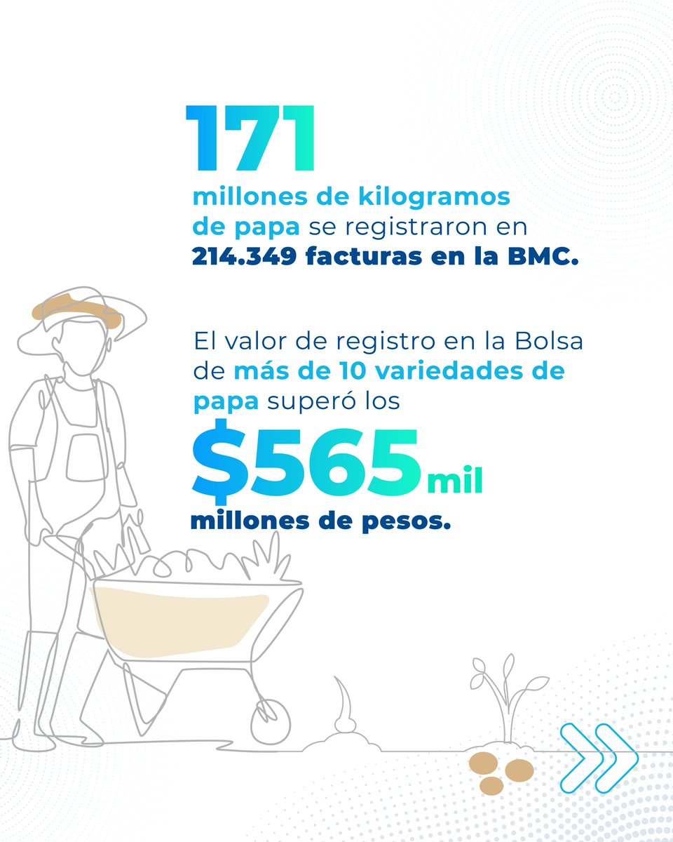 BolsaMercantil's tweet photo. La #papa🥔en Colombia es un pilar de la agricultura nacional y sustento para miles de familias campesinas. 📷 Conoce información relevante sobre las condiciones de oferta y demanda del sector #papero en nuestro estudio sectorial: https://t.co/0gqoi8EkI8 #DíaInternacionalDeLaPapa https://t.co/eW4fmmreO5