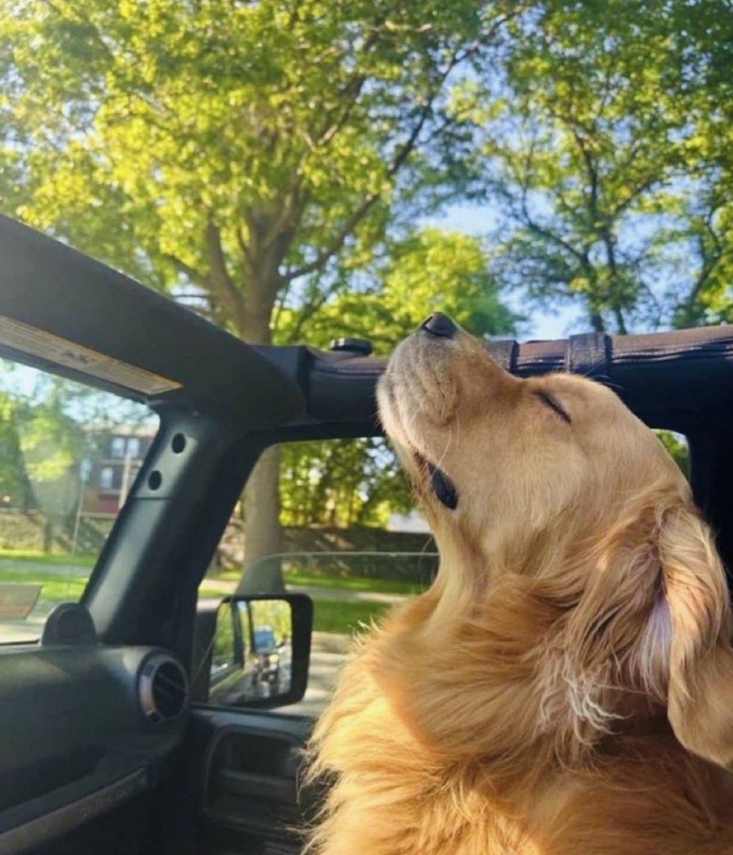 keyon's tweet photo. Enjoying the sun knowing I don’t have 34 charges against me https://t.co/StK7nMMEcI
