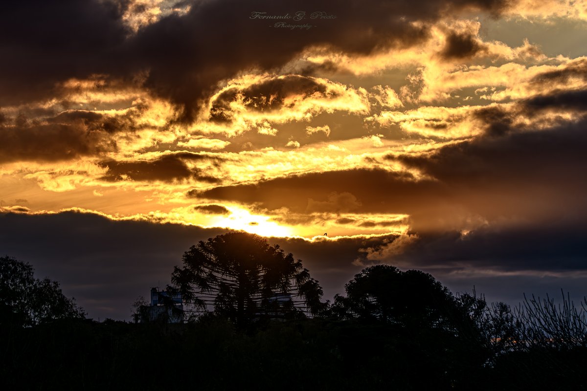 Luces y colores de un nuboso atardecer en Baires 🤩⛅️📷🇦🇷 #atardecer #PuestaDeSol #sunset #naturaleza #Nikon #Sigma @ThePhotoHour @StormHour @Imagen_Arg @YoushowmeP @sterntendo @BerneLarry @Weathernow1000 @climaencapital