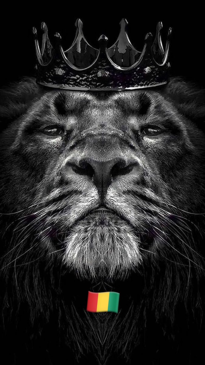 kincho15's tweet photo. Hemos Vuelto 🦁🦁#LigaNacional #HalaMarquense https://t.co/zwhKydEB76