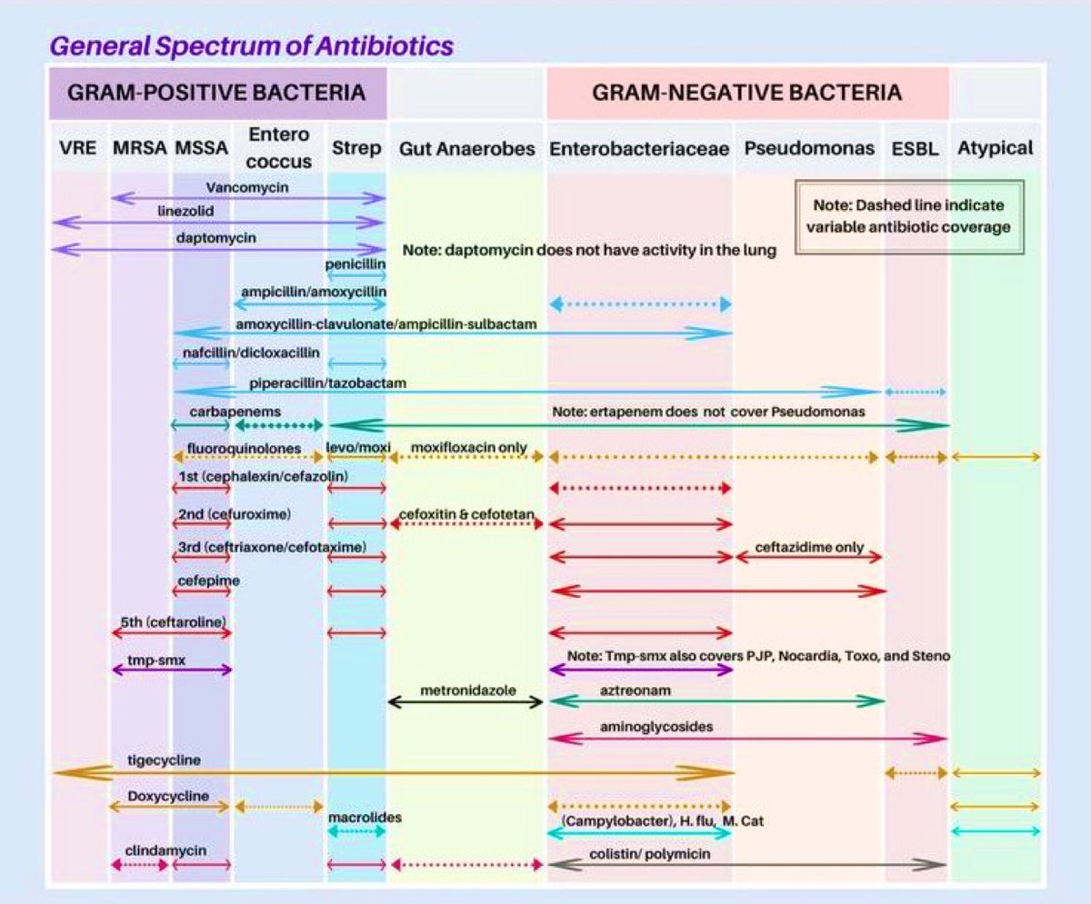 Spectrum Of Antibiotics