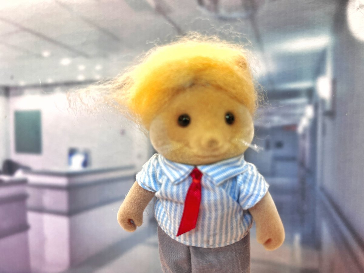 it was rigged, it was a disgrace, it rigged disgrace. dit was rigged, it was rigrace. disrigged it was….risrigged.
