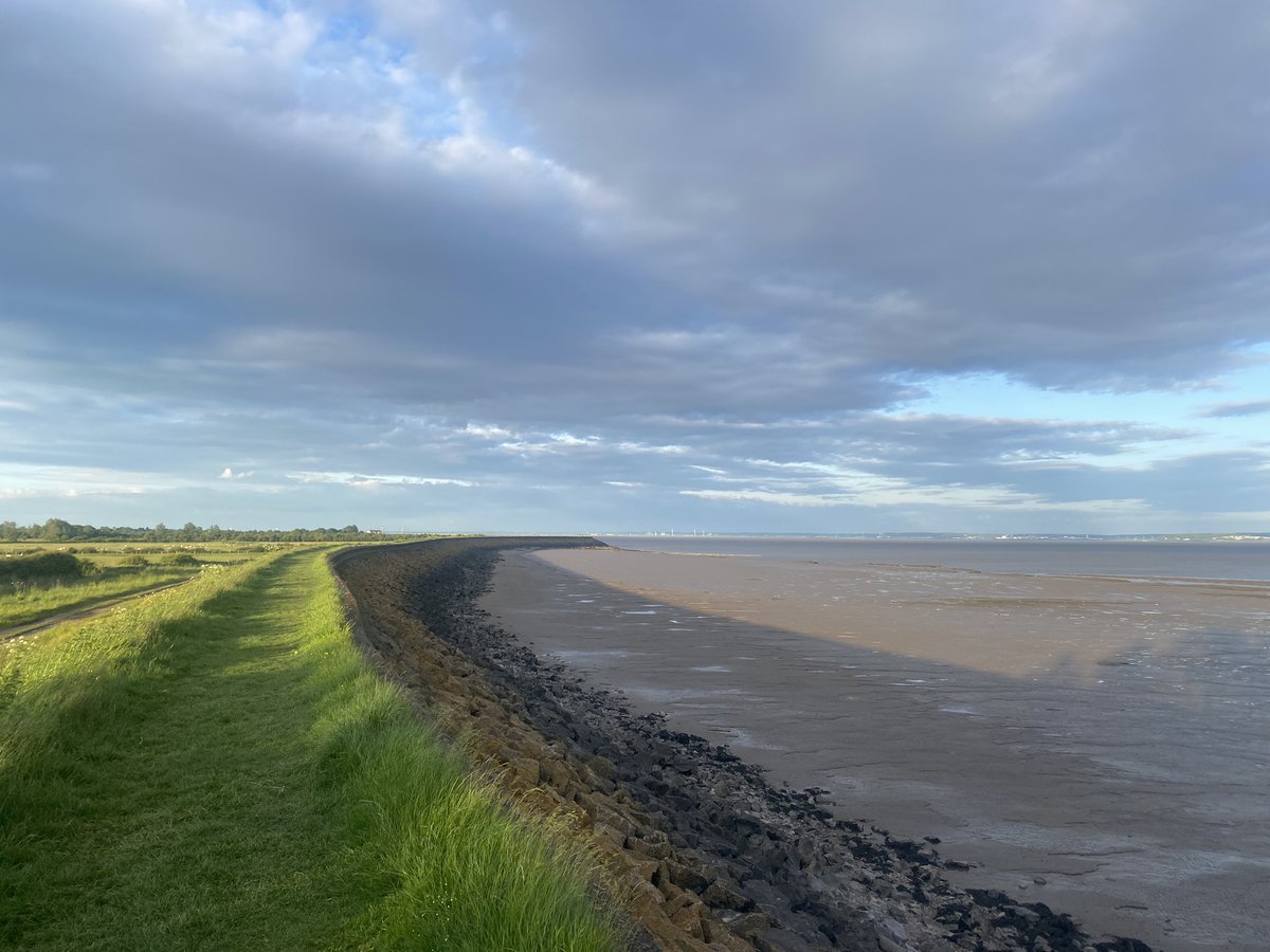 Positive Newport tweet media