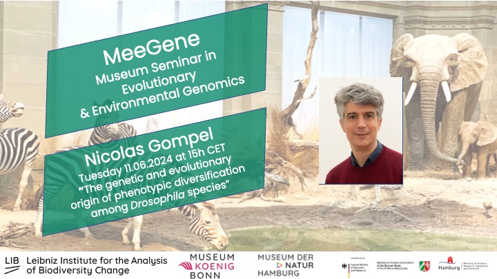 We are happy to host Nicolas Gompel <a href="/UniBonn/">Rheinische Friedrich-Wilhelms-Universität Bonn</a> for our next #MeeGene <a href="/Leibniz_LIB/">LIB</a> seminar on Tuesday 11.06.2024 15h CET. His talk: "The genetic and evolutionary origin of phenotypic diversification among Drosophila species". To join, drop us an email: meegene@leibniz-lib.de