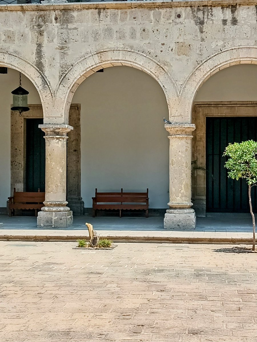 ebarbaborja's tweet photo. @GobiernoJalisco
Alguna persona dentro del Palacio de Gobierno, podrá encargarse de gestionar la reposición de éste árbol de naranjo en pleno patio central. https://t.co/XbPCovsaK8
