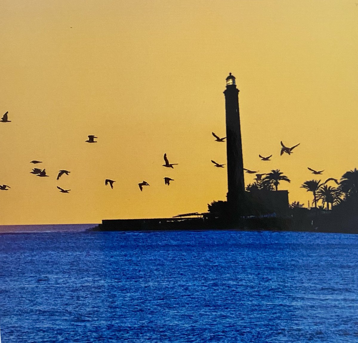 ¡Feliz día de Canarias!
Tierra de mar, sol y
de buena gente
#30Mayo2024 
#DiadeCanarias 
#FarodeMaspalomas 
@FarosLos 
📸 Faro de Maspalomas, Gran Canaria