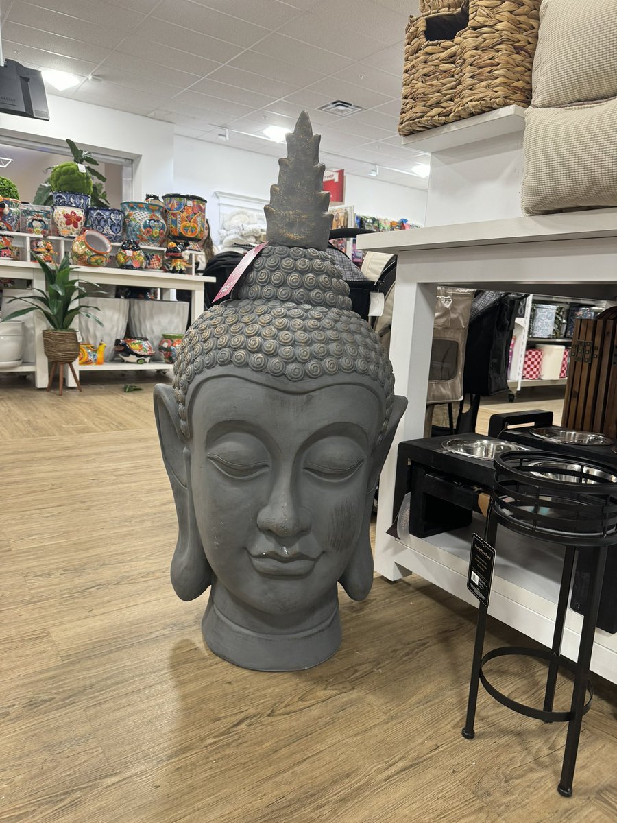 Guys can you help me convince Jenn to get this as a center piece for our table. It would take up 80% of the table but she needs some convincing 🥺