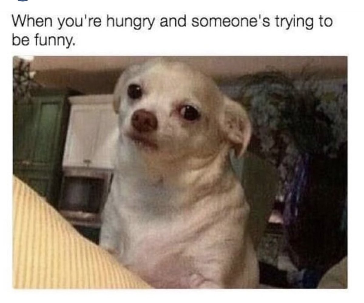 tinyxtunes's tweet image. 🥹