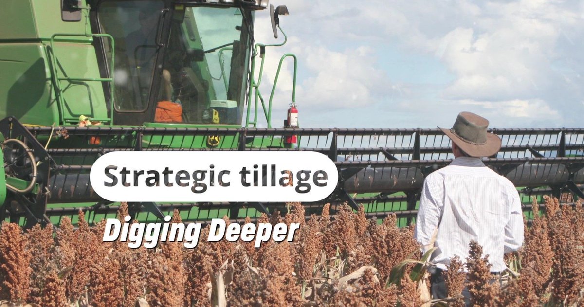 Watch or listen to our first Header Run video discussing Strategic Tillage!

Join our Ext. Agronomists <a href="/peterdnewman/">Peter Newman</a> @cropdoctor54 <a href="/Paul_WeedSmart/">PaulMacWeedsmart-Pulse</a> &amp; <a href="/grassrootsag/">Grassroots Agronomy</a> to find out all there is in strategic tillage 🌾 ➡️buff.ly/3yDkaKn
