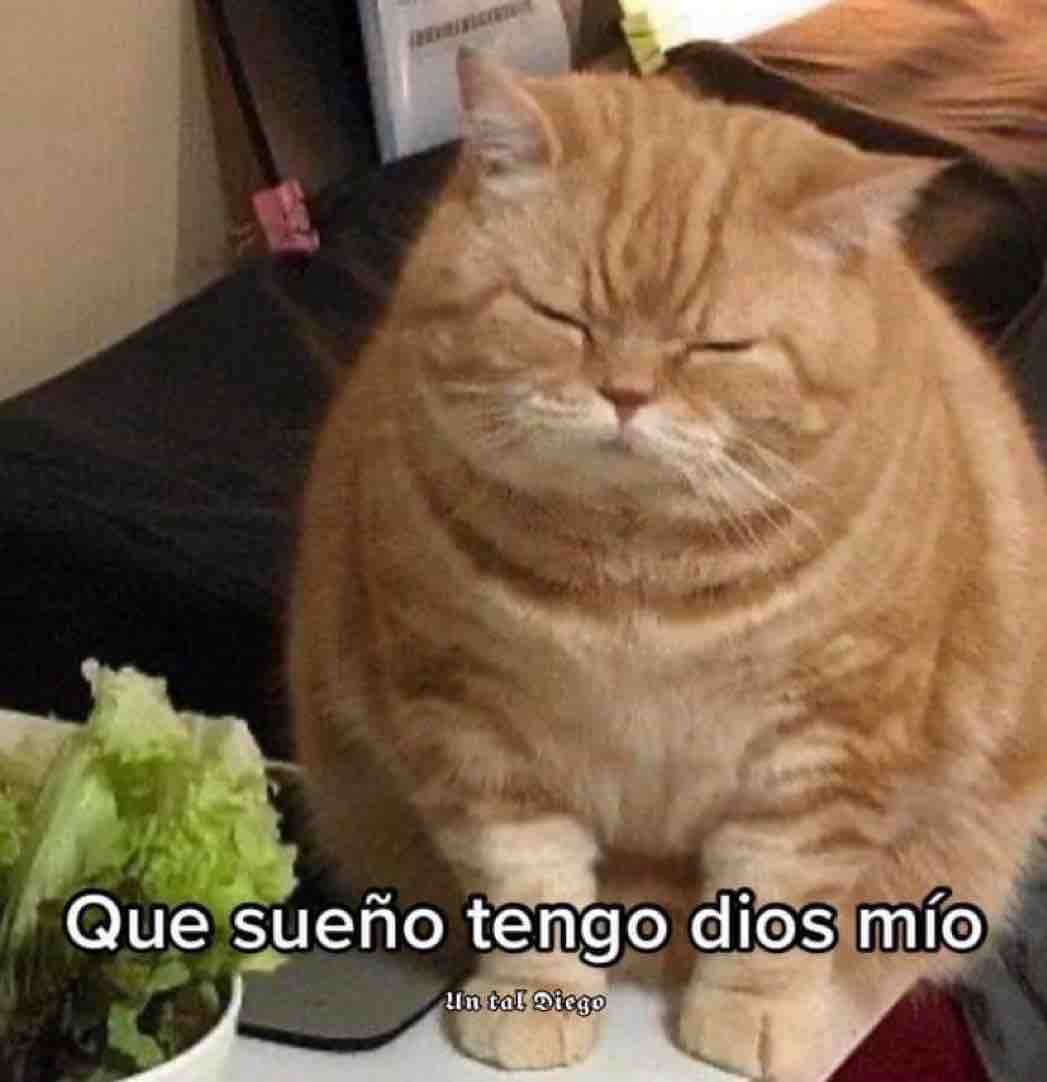 Yo después de cualquier comida: