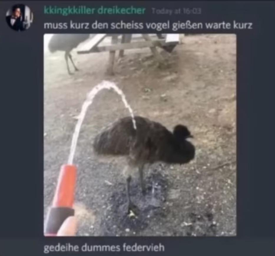 Ich kann nicht aufhören darüber zu lachen, wieso ist das SO witzig 💀💀💀