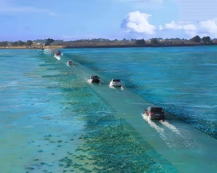 Existe uma estrada na França que só pode ser usada duas vezes por dia durante algumas horas. Depois desaparece abaixo de 13 pés de água
Passage du Gois é uma estrada famosa. Esta estrada de 4,15 km desaparece debaixo de água duas vezes por dia!

#NatureMagic
#SabadoLiberdadeNoSDV