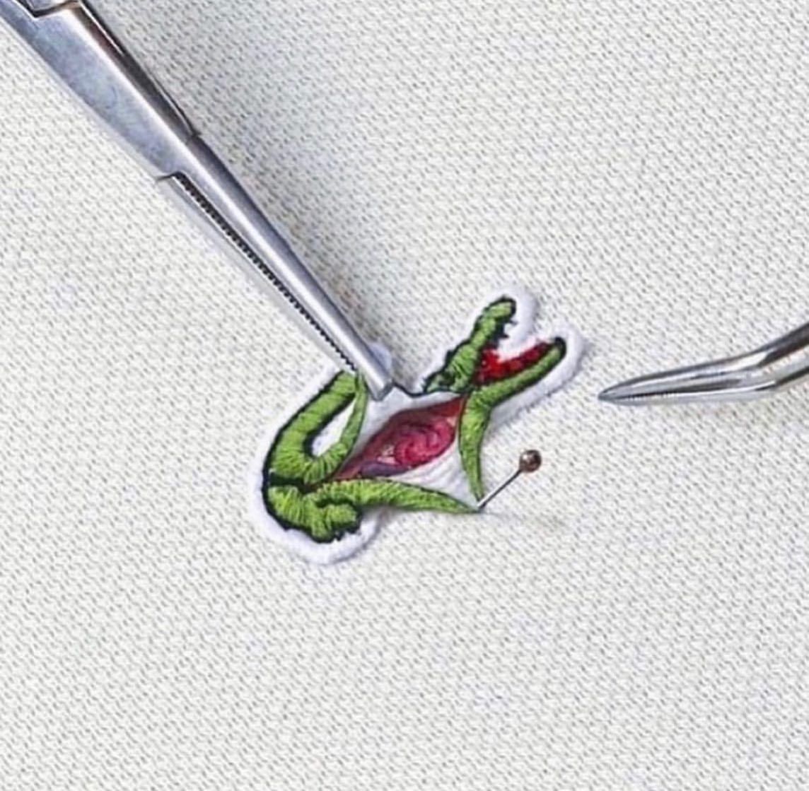 rogue's tweet photo. lacoste 🐊 https://t.co/lrm44N9C4o