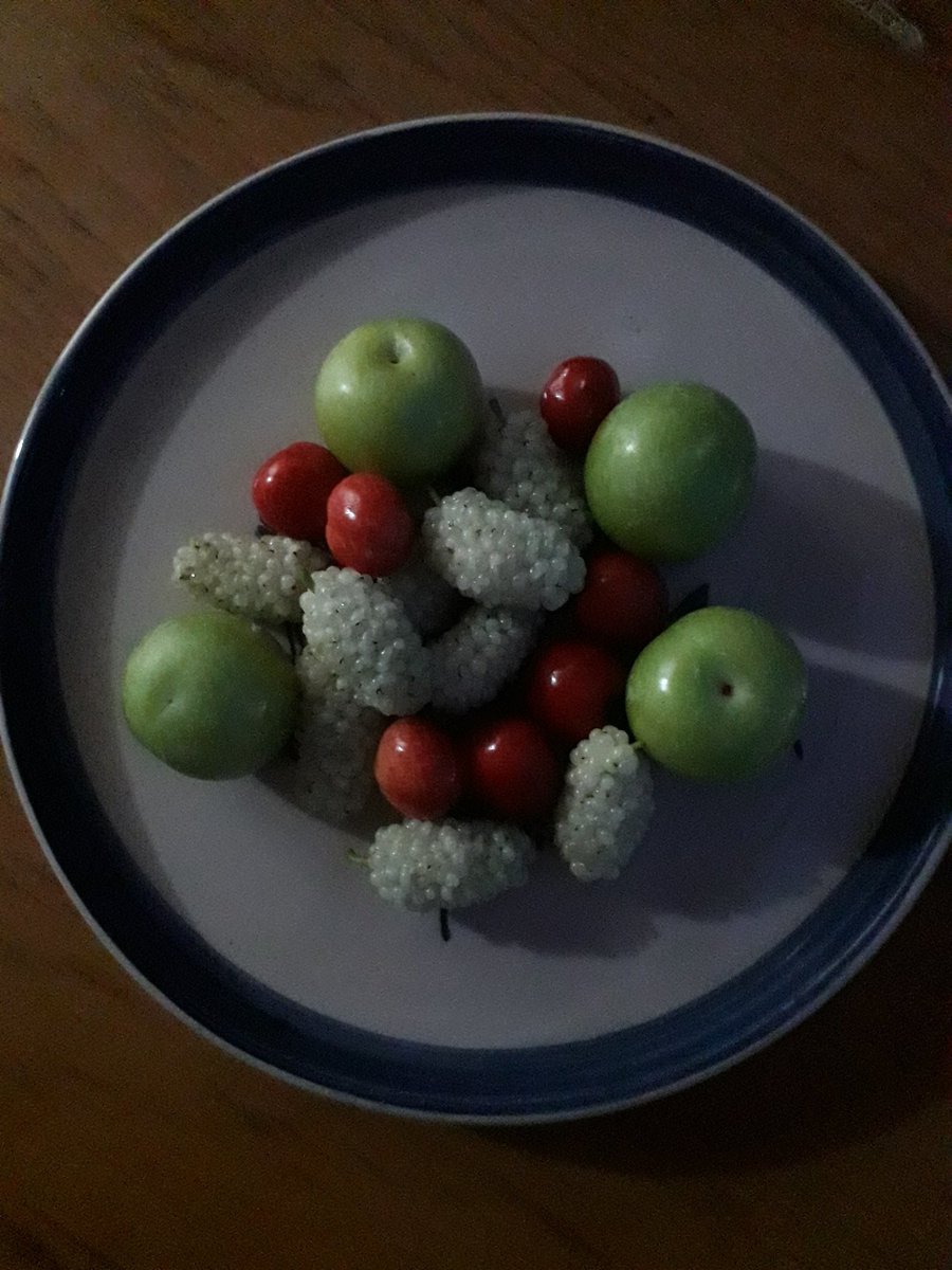 Bugün bahçemizden topladığım doğal meyveler.