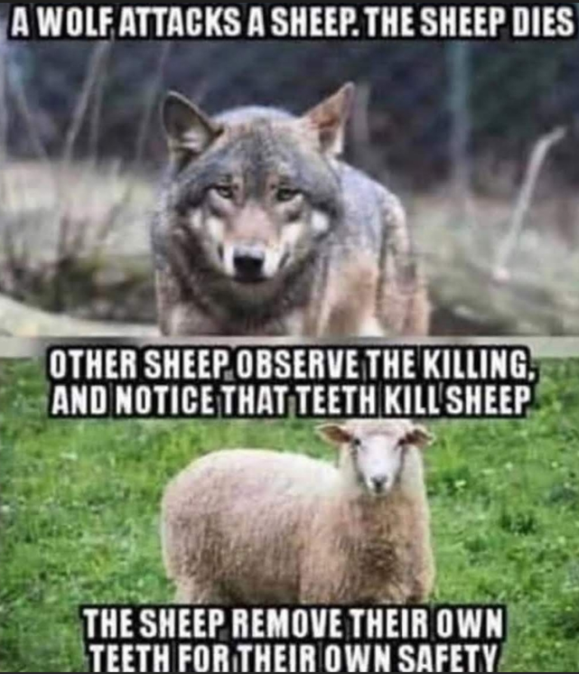 L8_Lurker's tweet image. &quot;Gun control&quot; explained:
#faultylogic #notguilty #commonsense #brainwashing