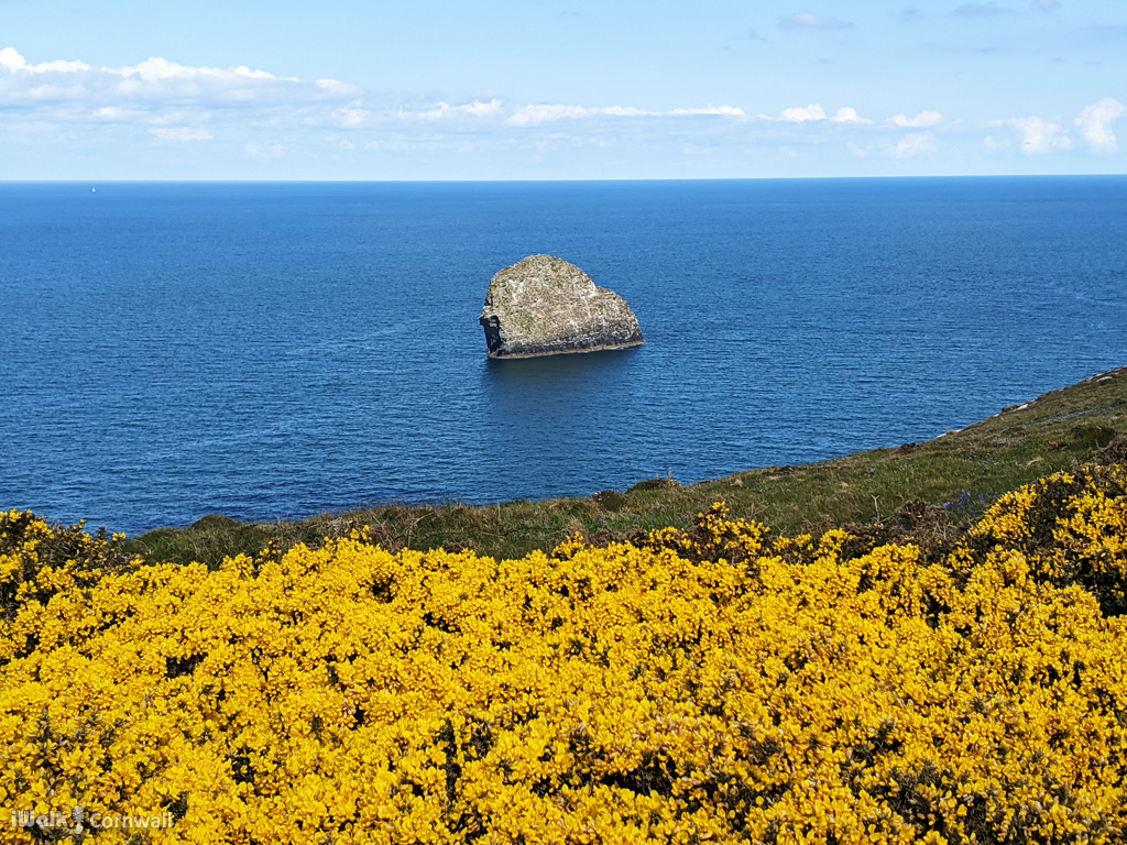 iWalk Cornwall 〓〓 tweet media