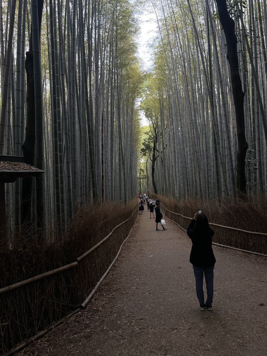 7amad94i's tweet photo. Kyoto https://t.co/gxXMhz3DV5