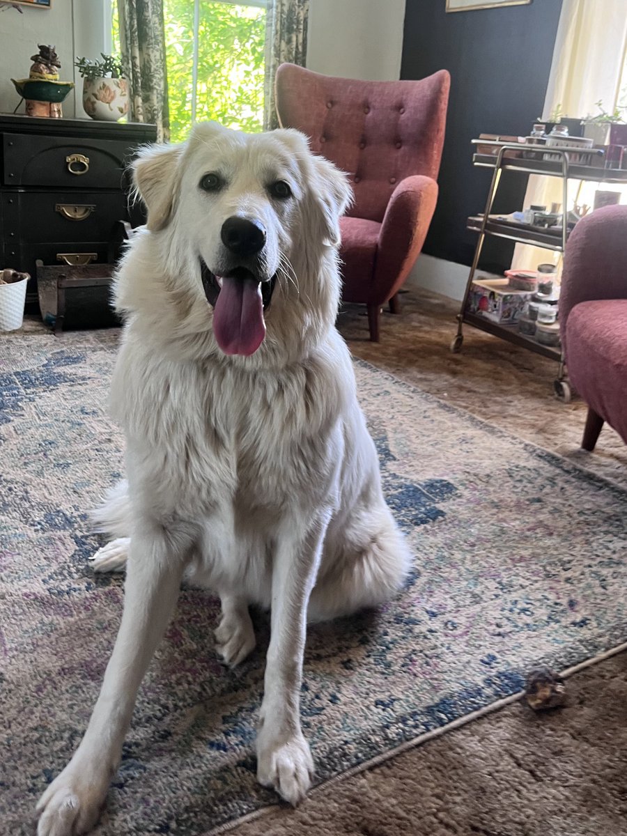 socialdivinity's tweet photo. @ZachReports Looks like Boboh’s sister Dolly https://t.co/qICS9Nn5Gu