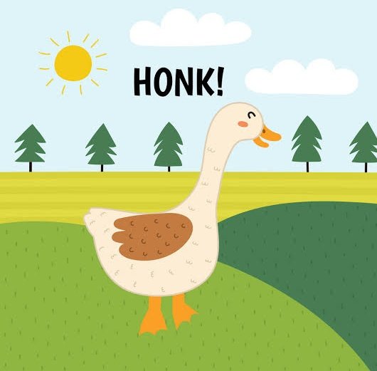 morp_way's tweet photo. @JakeGagain End the night by bagging $HONK | @honk_sol. He may not fly but flapping his wings to the top of the charts in #SOL.

$HONK  looking primed! https://t.co/w7A3XFeaXR