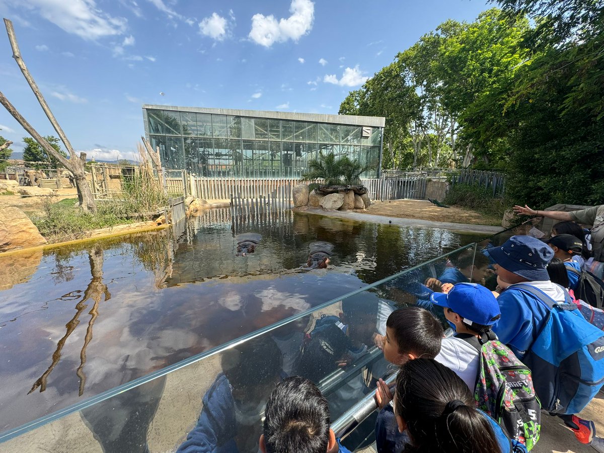 MDP Bailèn tweet media